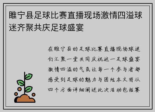 睢宁县足球比赛直播现场激情四溢球迷齐聚共庆足球盛宴